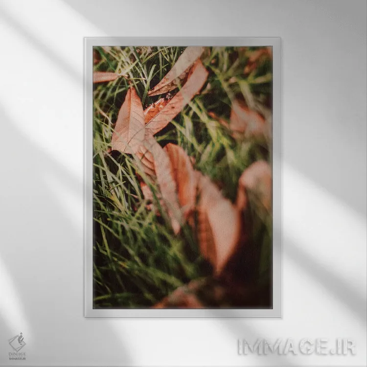 تابلو دکوراتیو در یک صف اثر اولیویا جوی سنت کلر - نمای قابدار سفید