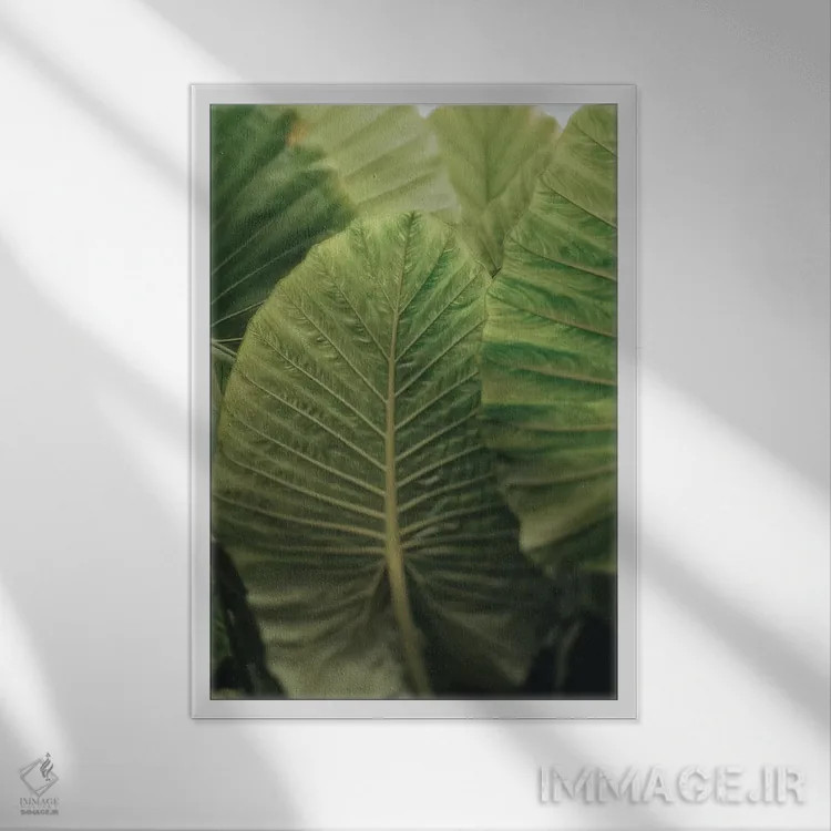 تابلو دکوراتیو در لحظه باش اثر اولیویا جوی سنت کلر - نمای قابدار سفید