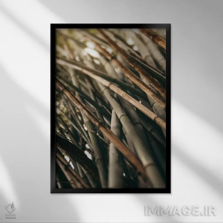 تابلو مینیمال مطالعه بامبو L اثر اولیویا جوی سنت کلر - نمای قابدار مشکی