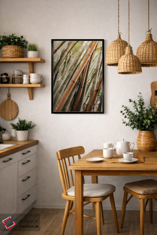 تابلو مینیمال مطالعه بامبو LI اثر اولیویا جوی سنت کلر - D6B