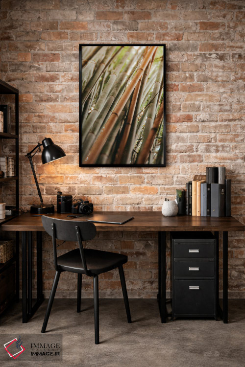 تابلو مینیمال مطالعه بامبو LI اثر اولیویا جوی سنت کلر - D4B