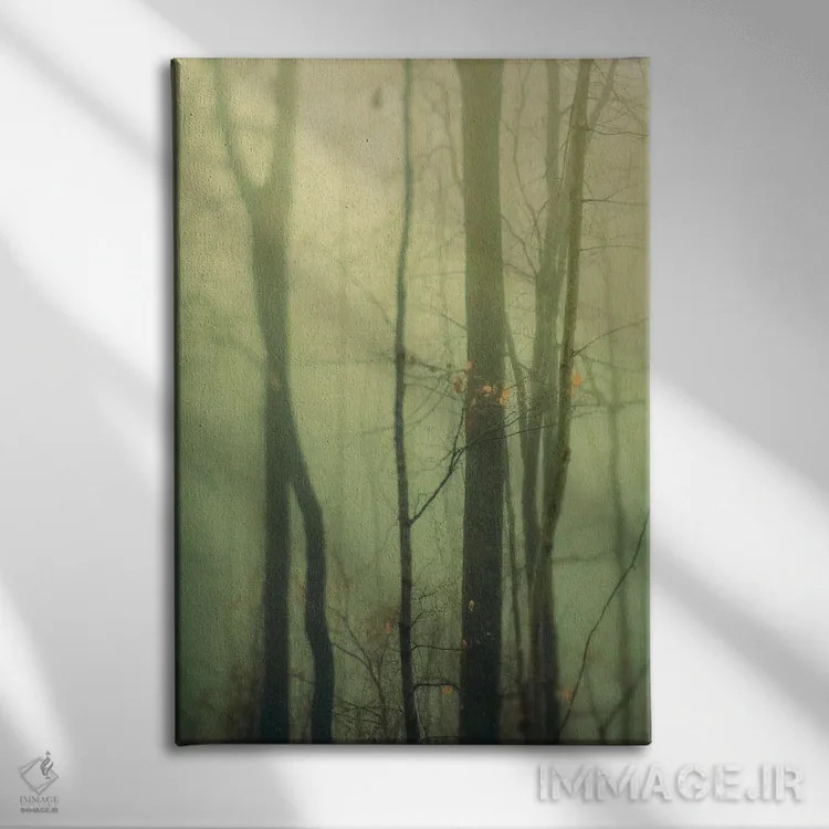 تابلو دکوراتیو درختان در مه I اثر اولیویا جوی سنت کلر - نمای روبهرو روی دیوار