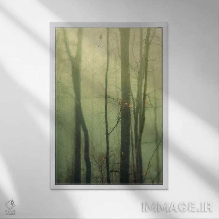 تابلو دکوراتیو درختان در مه I اثر اولیویا جوی سنت کلر - نمای قابدار سفید