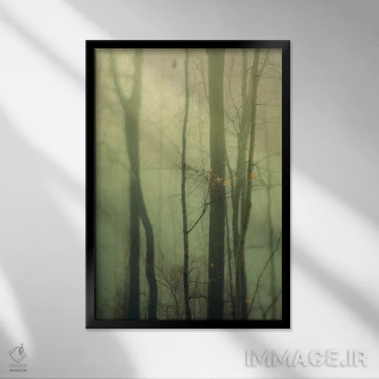 تابلو دکوراتیو درختان در مه I اثر اولیویا جوی سنت کلر - نمای قابدار مشکی