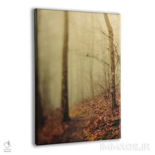 تابلو دکوراتیو درختان در مه III اثر اولیویا جوی سنت کلر - نمای پرسپکتیو محصول