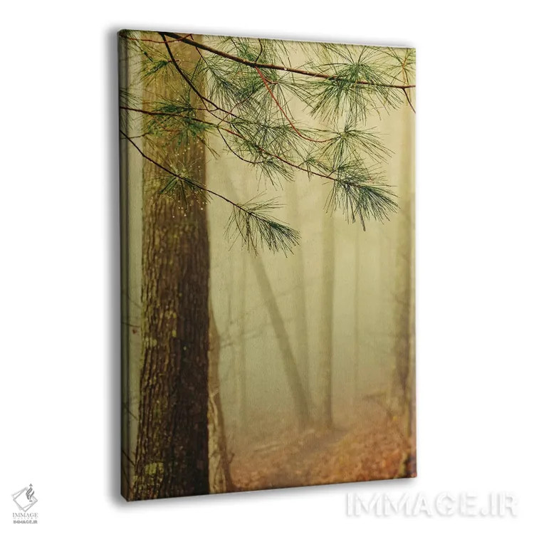 تابلو دکوراتیو درختان در مه IV اثر اولیویا جوی سنت کلر - نمای پرسپکتیو محصول