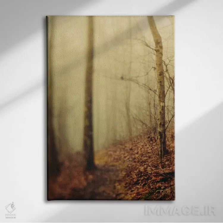 تابلو دکوراتیو درختان در مه III اثر اولیویا جوی سنت کلر - نمای روبهرو روی دیوار