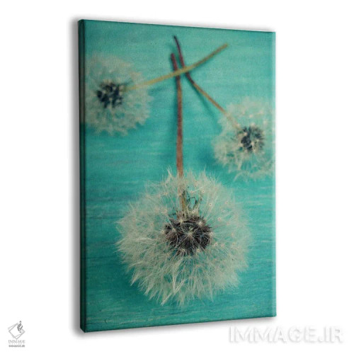 تابلو دکوراتیو آرزو کن اثر اولیویا جوی سنت کلر - نمای پرسپکتیو محصول