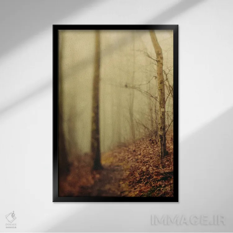 تابلو دکوراتیو درختان در مه III اثر اولیویا جوی سنت کلر - نمای قابدار مشکی