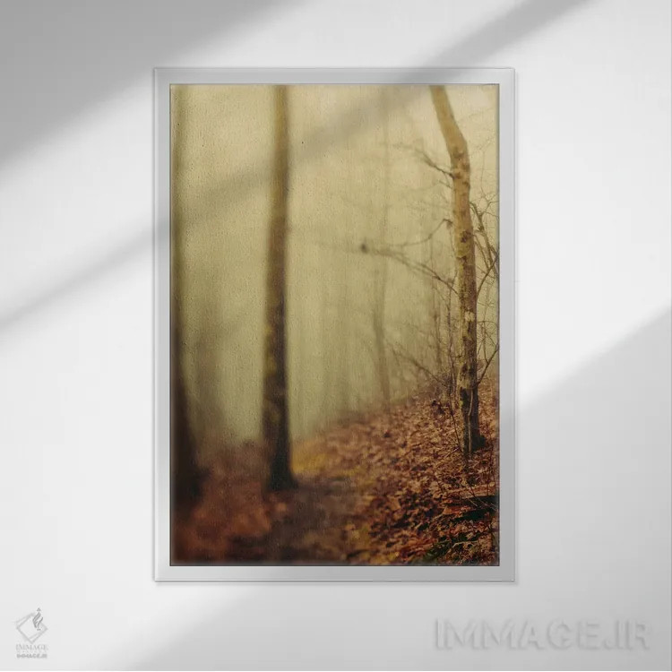 تابلو دکوراتیو درختان در مه III اثر اولیویا جوی سنت کلر - نمای قابدار سفید