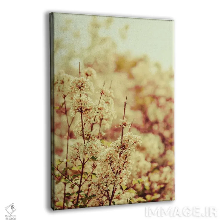 تابلو دکوراتیو آرام باش عزیزم اثر اولیویا جوی سنت کلر - نمای پرسپکتیو محصول