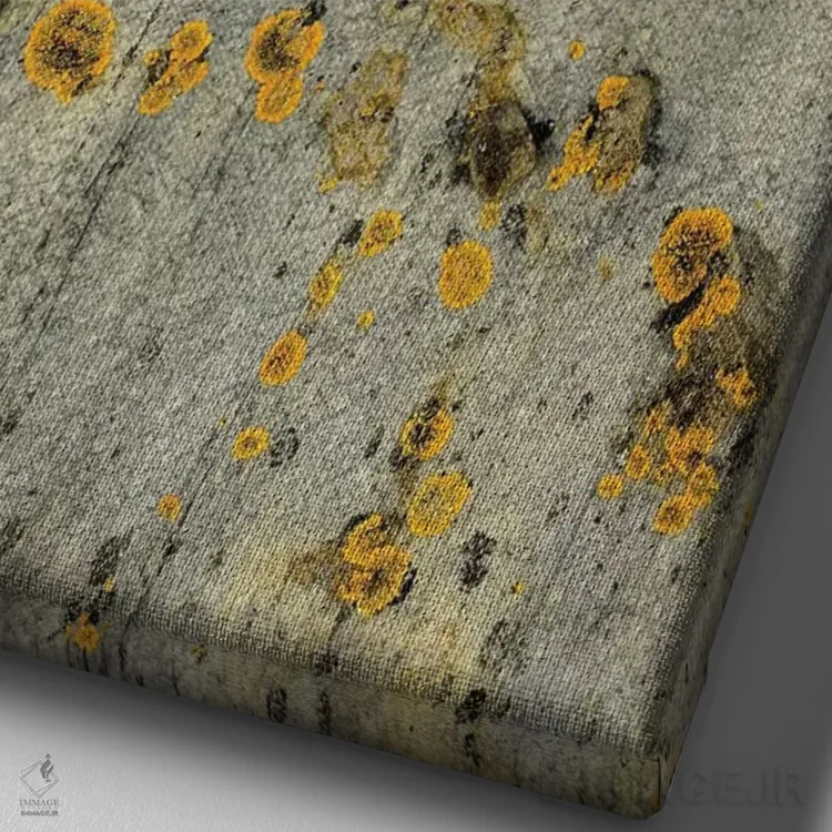 تابلو دکوراتیو گلسنگ روی سنگ اثر اولیویا جوی سنت کلر - نمای نزدیک بافت بوم