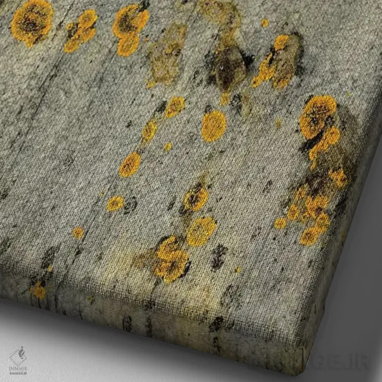 تابلو دکوراتیو گلسنگ روی سنگ اثر اولیویا جوی سنت کلر - نمای نزدیک بافت بوم