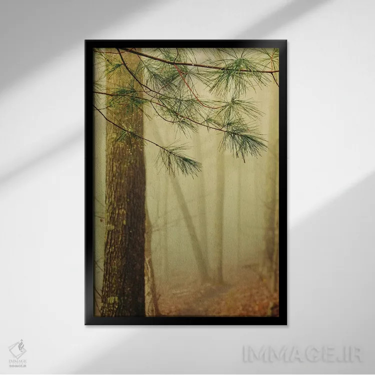 تابلو دکوراتیو درختان در مه IV اثر اولیویا جوی سنت کلر - نمای قابدار مشکی
