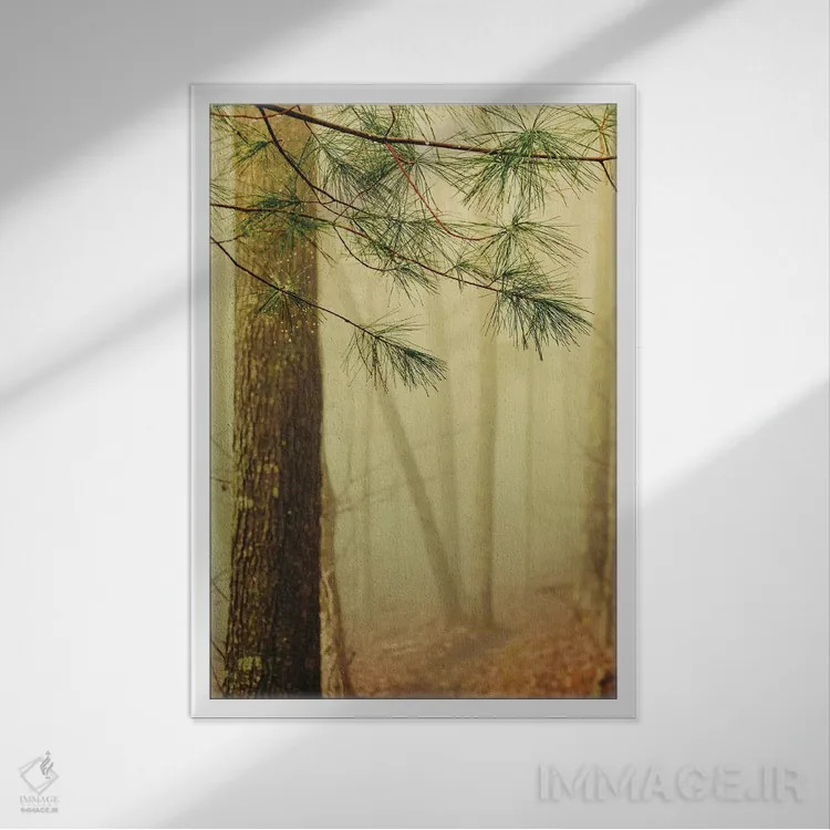تابلو دکوراتیو درختان در مه IV اثر اولیویا جوی سنت کلر - نمای قابدار سفید