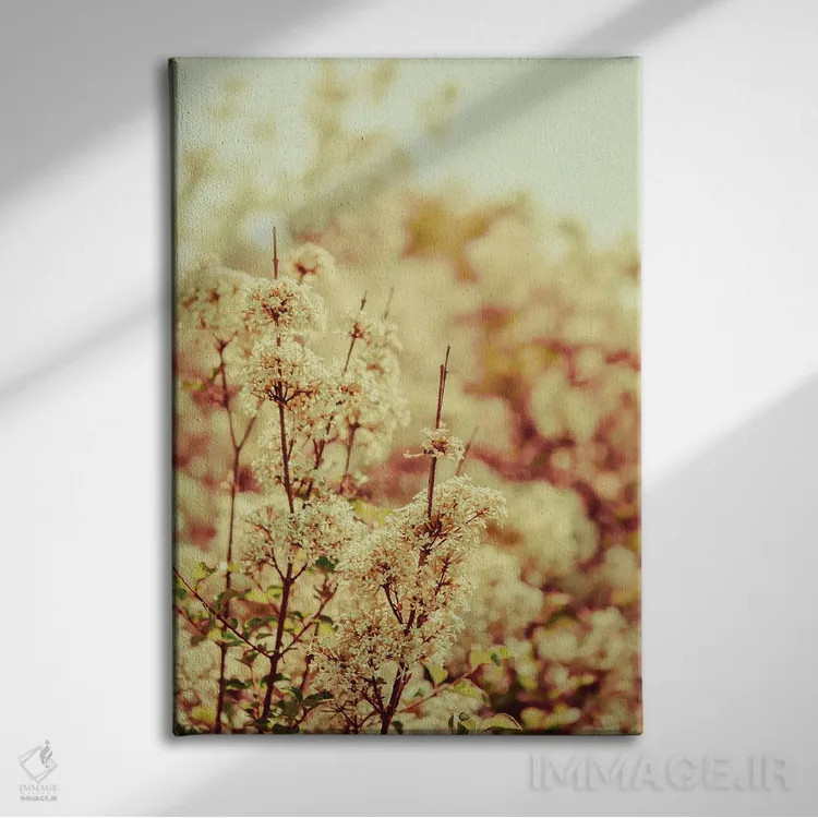 تابلو دکوراتیو آرام باش عزیزم اثر اولیویا جوی سنت کلر - نمای روبهرو روی دیوار