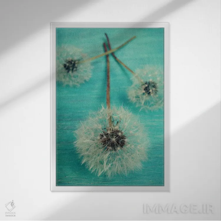 تابلو دکوراتیو آرزو کن اثر اولیویا جوی سنت کلر - نمای قابدار سفید