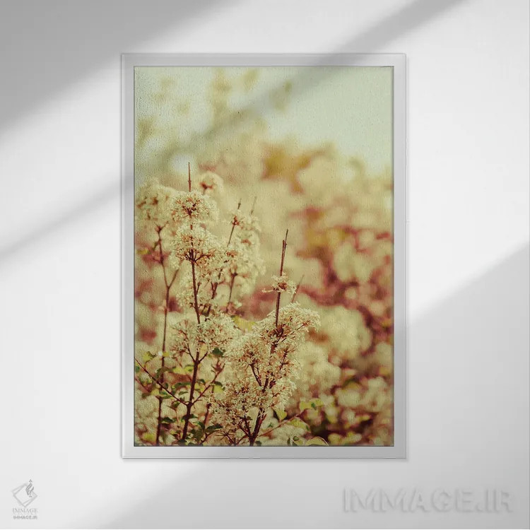 تابلو دکوراتیو آرام باش عزیزم اثر اولیویا جوی سنت کلر - نمای قابدار سفید