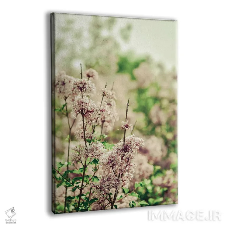 تابلو دکوراتیو آرام باش عزیزم یاسی اثر اولیویا جوی سنت کلر - نمای پرسپکتیو محصول