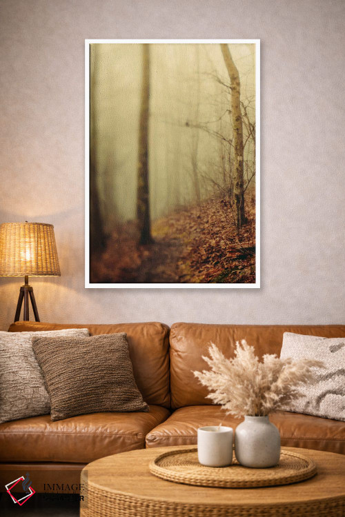 تابلو دکوراتیو درختان در مه III اثر اولیویا جوی سنت کلر - D2W