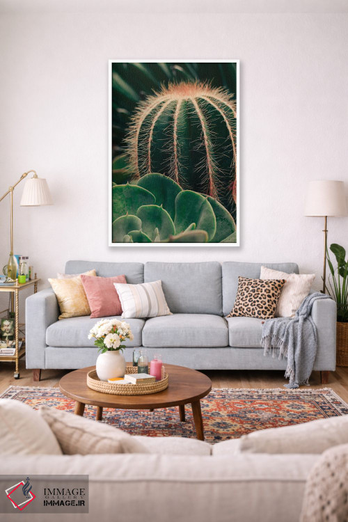تابلو دکوراتیو کاکتوس و ساکولنت اثر اولیویا جوی سنت کلر - D1W