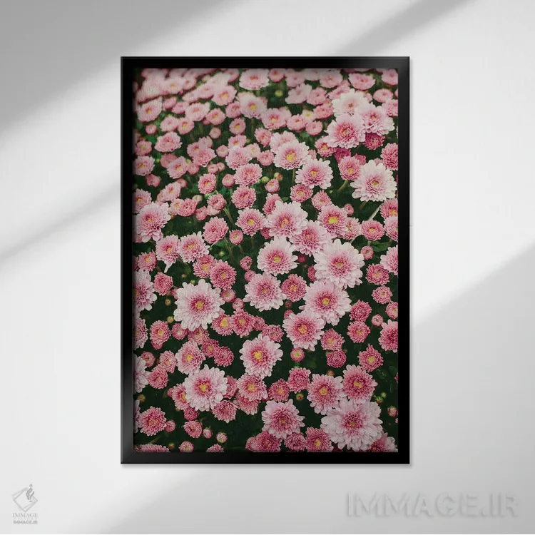 تابلو دکوراتیو شکوفایی بی دریغ اثر اولیویا جوی سنت کلر - نمای قابدار مشکی