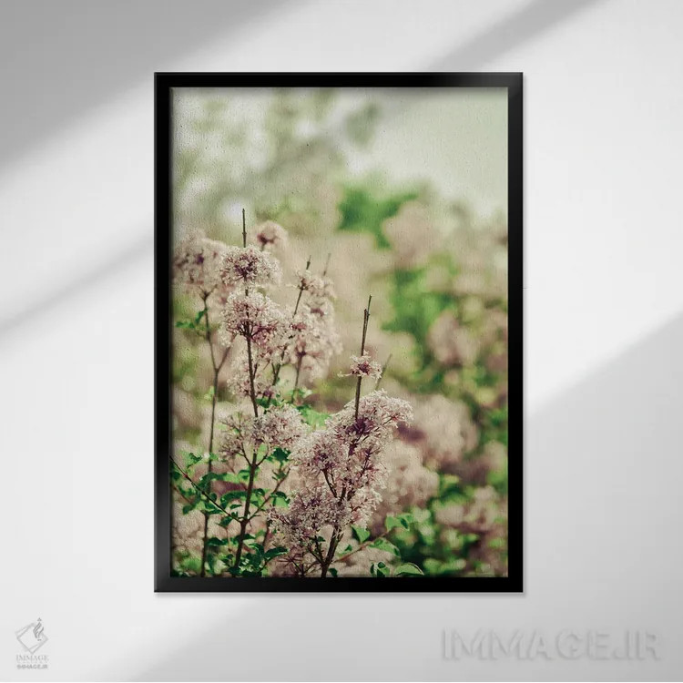 تابلو دکوراتیو آرام باش عزیزم یاسی اثر اولیویا جوی سنت کلر - نمای قابدار مشکی