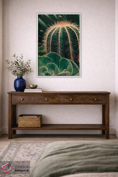 تابلو دکوراتیو کاکتوس و ساکولنت اثر اولیویا جوی سنت کلر - D2W