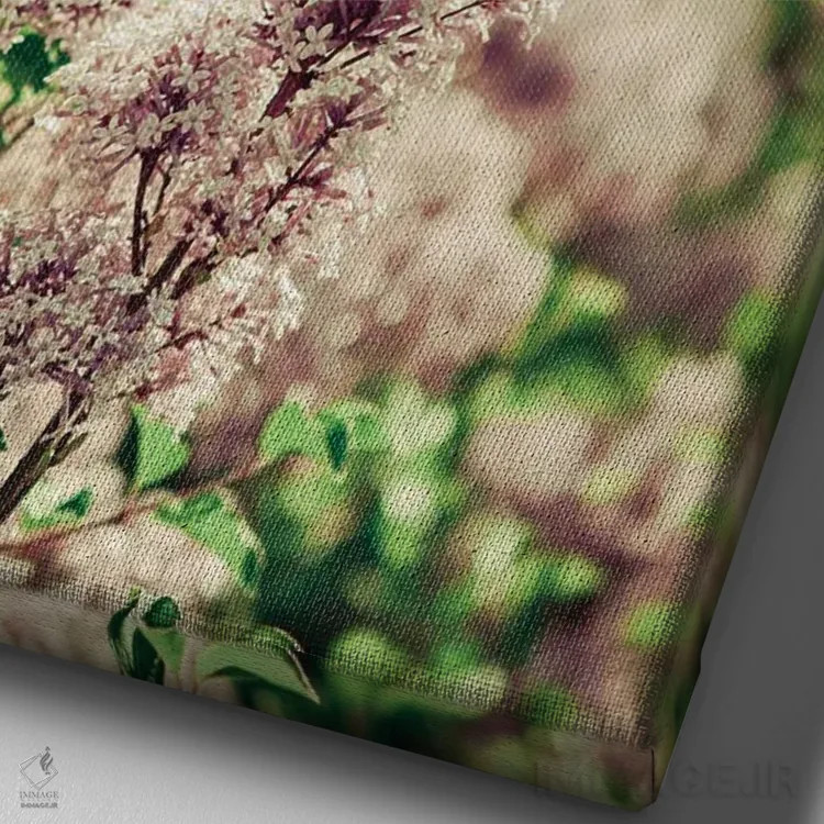 تابلو دکوراتیو آرام باش عزیزم یاسی اثر اولیویا جوی سنت کلر - نمای نزدیک بافت بوم