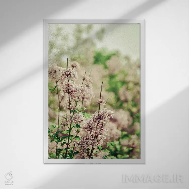 تابلو دکوراتیو آرام باش عزیزم یاسی اثر اولیویا جوی سنت کلر - نمای قابدار سفید