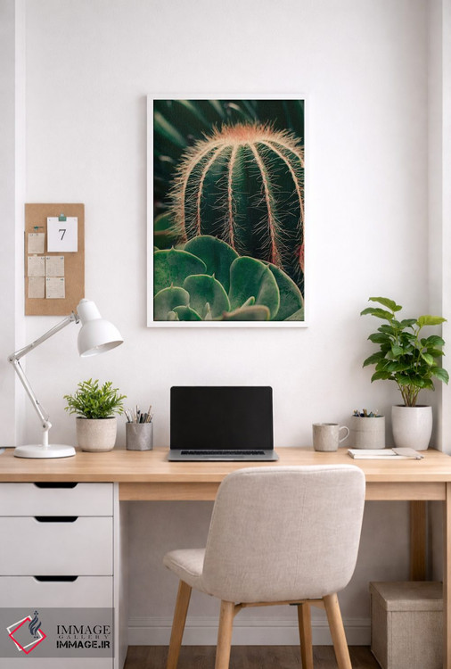 تابلو دکوراتیو کاکتوس و ساکولنت اثر اولیویا جوی سنت کلر - D3W