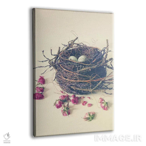 تابلو مدرن لانه اثر اولیویا جوی سنت کلر - نمای پرسپکتیو محصول