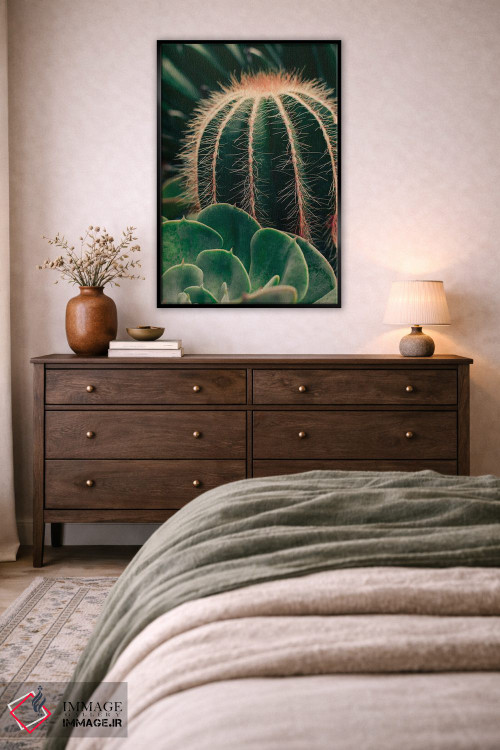 تابلو دکوراتیو کاکتوس و ساکولنت اثر اولیویا جوی سنت کلر - D5B