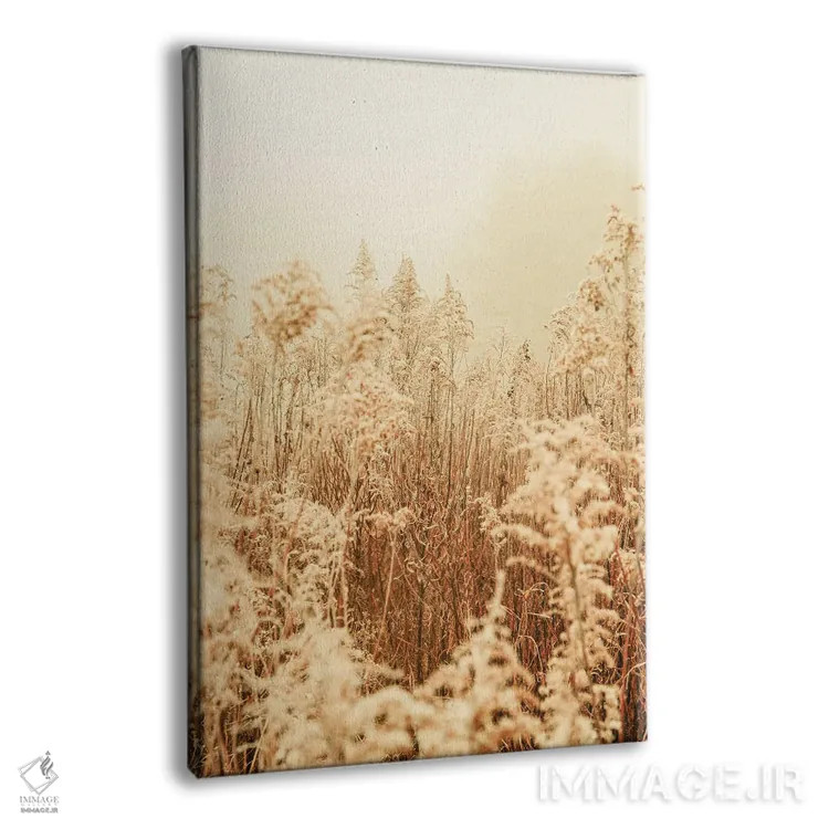 تابلو دکوراتیو زمستان شمالی I اثر اولیویا جوی سنت کلر - نمای پرسپکتیو محصول