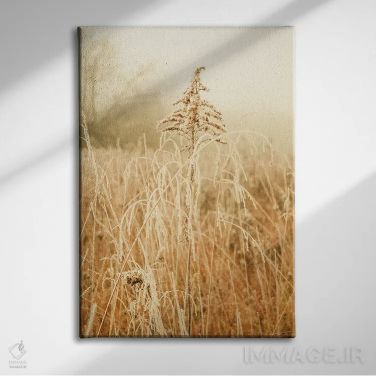 تابلو دکوراتیو زمستان شمالی III اثر اولیویا جوی سنت کلر - نمای روبهرو روی دیوار