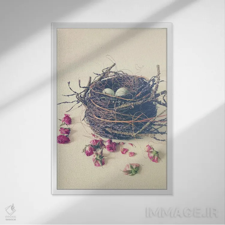 تابلو مدرن لانه اثر اولیویا جوی سنت کلر - نمای قابدار سفید