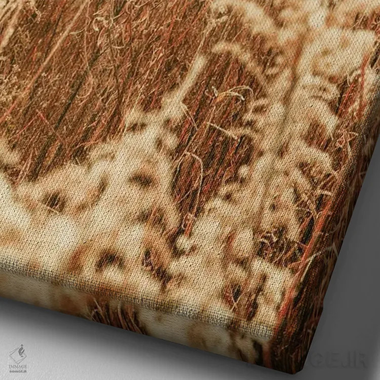 تابلو دکوراتیو زمستان شمالی I اثر اولیویا جوی سنت کلر - نمای نزدیک بافت بوم