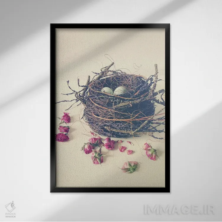 تابلو مدرن لانه اثر اولیویا جوی سنت کلر - نمای قابدار مشکی