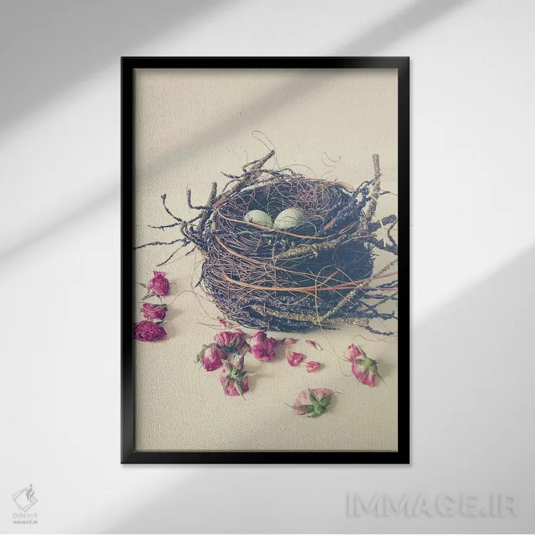 تابلو مدرن لانه اثر اولیویا جوی سنت کلر - نمای قابدار مشکی