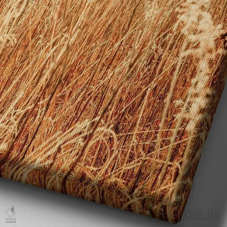 تابلو دکوراتیو زمستان شمالی II اثر اولیویا جوی سنت کلر - نمای نزدیک بافت بوم