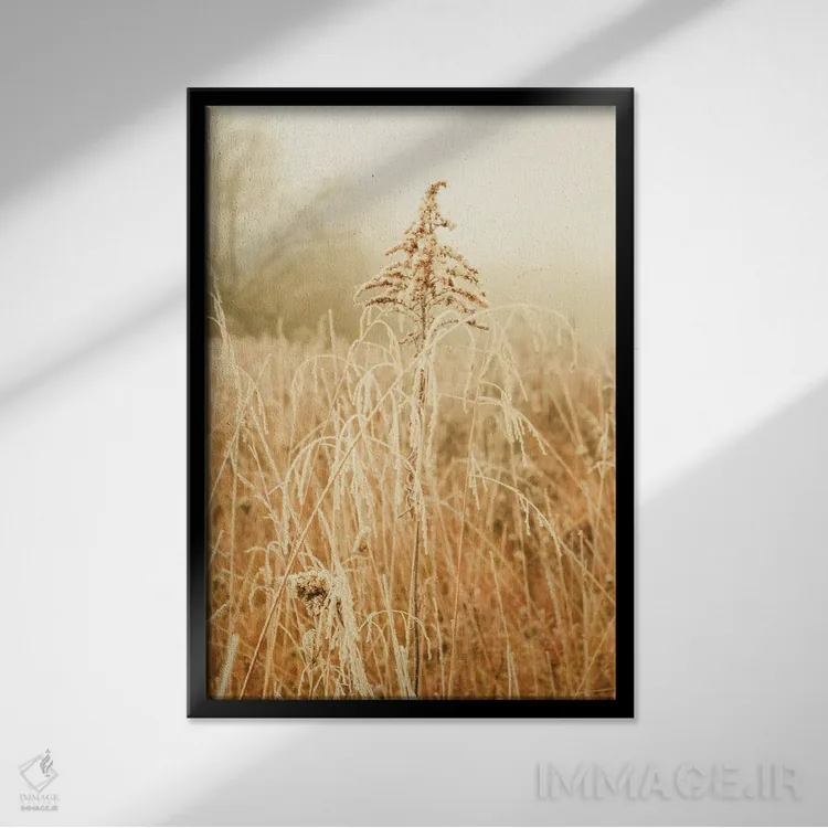 تابلو دکوراتیو زمستان شمالی III اثر اولیویا جوی سنت کلر - نمای قابدار مشکی