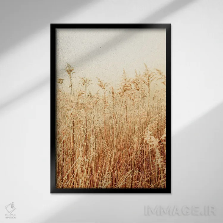 تابلو دکوراتیو زمستان شمالی II اثر اولیویا جوی سنت کلر - نمای قابدار مشکی