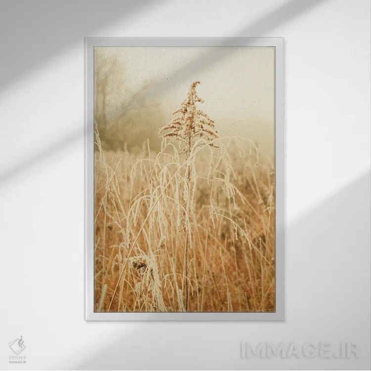 تابلو دکوراتیو زمستان شمالی III اثر اولیویا جوی سنت کلر - نمای قابدار سفید