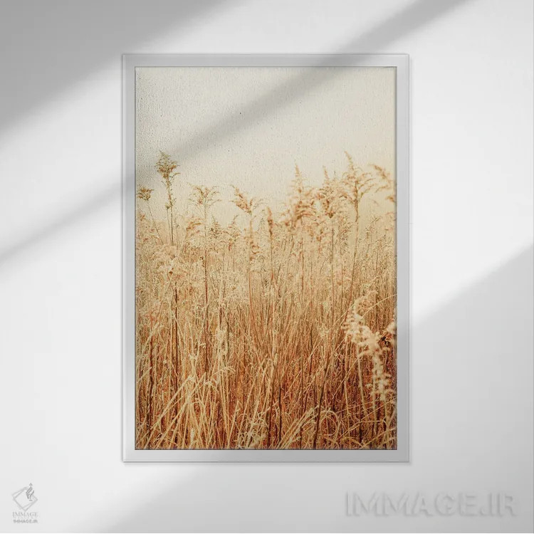 تابلو دکوراتیو زمستان شمالی II اثر اولیویا جوی سنت کلر - نمای قابدار سفید