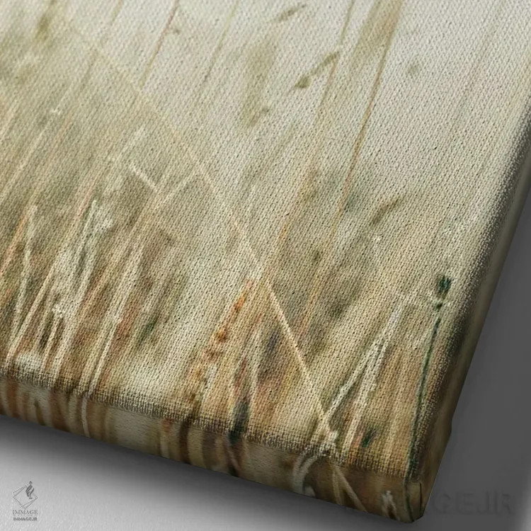 تابلو مدرن مزرعه زمستانی II اثر اولیویا جوی سنت کلر - نمای نزدیک بافت بوم