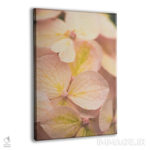 تابلو دکوراتیو ستایش ها اثر اولیویا جوی سنت کلر - نمای پرسپکتیو محصول