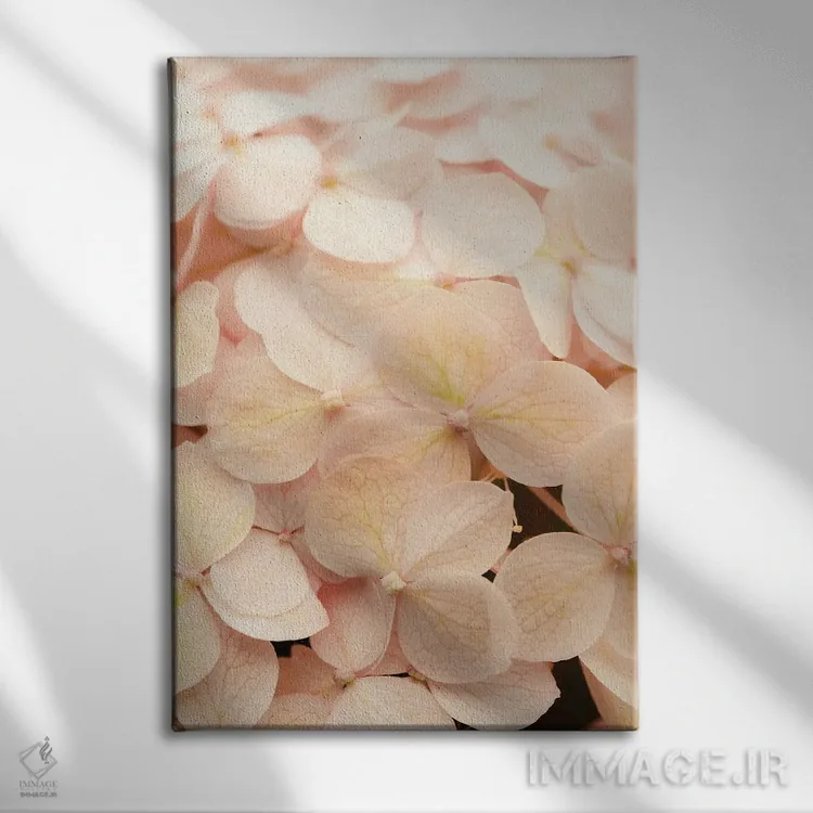 تابلو دکوراتیو ستایش ها اثر اولیویا جوی سنت کلر - نمای روبهرو روی دیوار