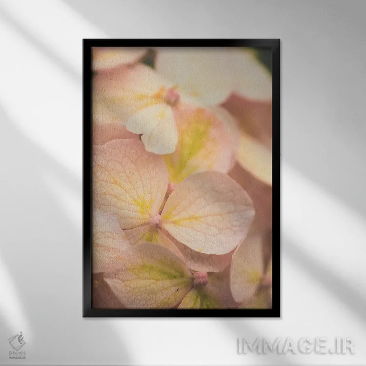 تابلو دکوراتیو ستایش ها اثر اولیویا جوی سنت کلر - نمای قابدار مشکی