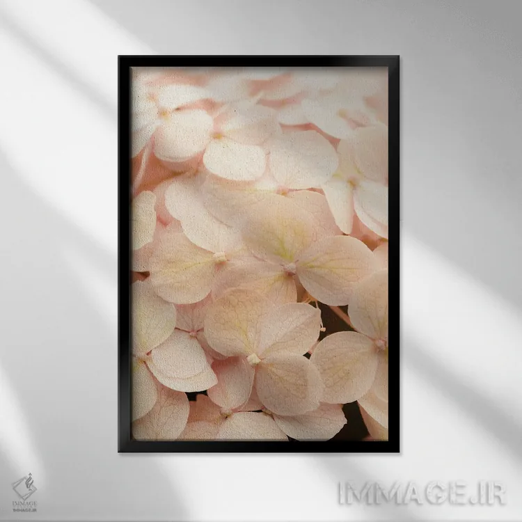 تابلو دکوراتیو ستایش ها اثر اولیویا جوی سنت کلر - نمای قابدار مشکی