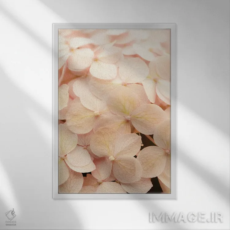 تابلو دکوراتیو ستایش ها اثر اولیویا جوی سنت کلر - نمای قابدار سفید